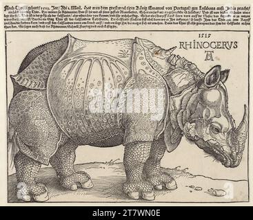 Albrecht Dürer Rhinocerus (il rhinozeros). Taglio del legno e stampa tipo 1515 , 1515 Foto Stock