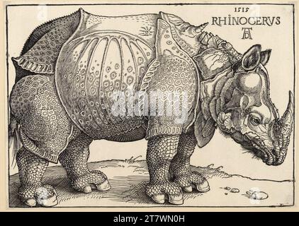 Albrecht Dürer Rhinocerus (il rhinozeros). Woodcut 1515 , 1515 Foto Stock