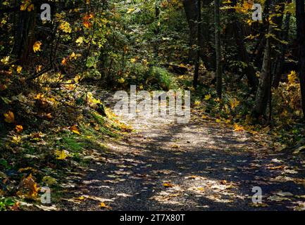 Brickyard Community Park BC Foto Stock