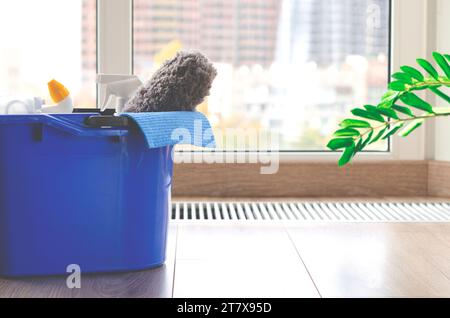 Attrezzi e attrezzi per la pulizia. Set di lavoro di un'azienda di pulizia. Foto Stock