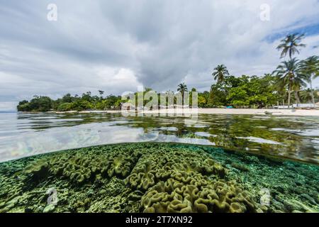 Vista sopra e sotto la barriera corallina del villaggio di Sauwaderek, Raja Ampat, Indonesia, Sud-est asiatico, Asia Foto Stock
