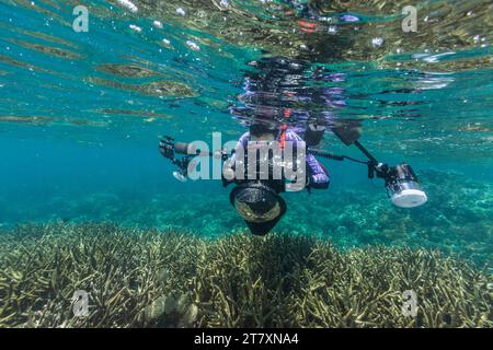 Fotografo subacqueo in acque cristalline nelle barriere coralline poco profonde al largo dell'isola di Bangka, al largo della punta nord-orientale di Sulawesi, Indonesia, Sud-est asiatico Foto Stock
