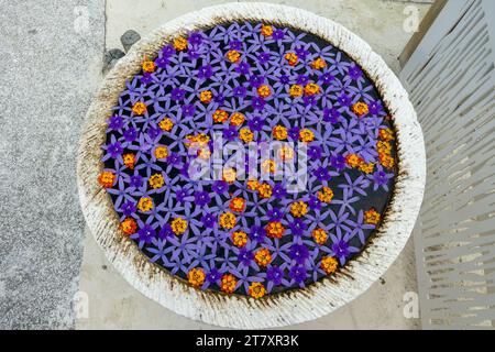 Vista dall'alto di un mandala floreale con petali viola e arancio che galleggiano sull'acqua in un vaso, decorazioni floreali tropicali, Seychelles Foto Stock