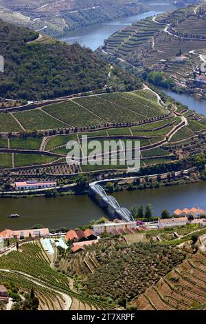 Vigneti nella valle del Douro nel cuore della regione vinicola dell'alto Douro, Pinhao, Portogallo, Europa Foto Stock