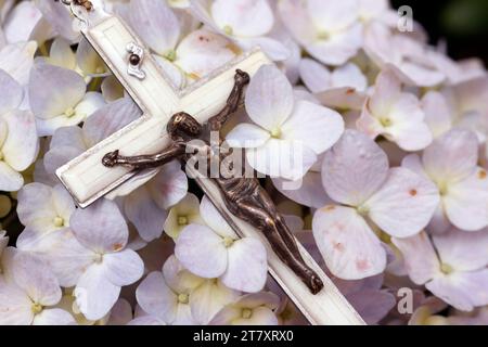 Preghiera in natura, perle di rosario cattolico con Gesù sul fiore di ortensia, Vietnam, Indocina, Sud-Est asiatico, Asia Foto Stock