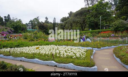 kodaikanal, india - 18 giugno 2023: Turisti che si godono il bellissimo parco di kodaikanal Bryant. Il posto migliore per coppie e anziani per famiglie di qualità Foto Stock