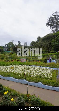 kodaikanal, india - 18 giugno 2023: Turisti che si godono il bellissimo parco di kodaikanal Bryant. Il posto migliore per coppie e anziani per famiglie di qualità Foto Stock