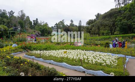 kodaikanal, india - 18 giugno 2023: Turisti che si godono il bellissimo parco di kodaikanal Bryant. Il posto migliore per coppie e anziani per famiglie di qualità Foto Stock