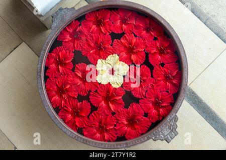 Vista dall'alto di un mandala di fiori con ibisco rosso che galleggia sull'acqua in un vaso, decorazioni floreali tropicali, Seychelles Foto Stock