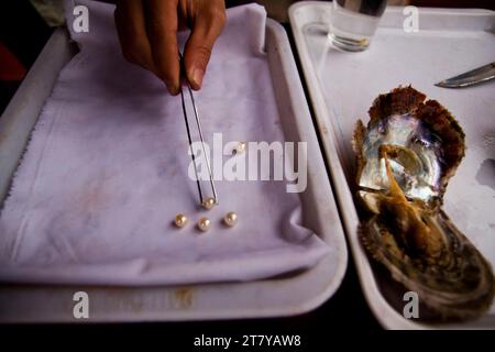 Un uomo mostra perle in una fattoria di perle a ha Long Bay, in Vietnam Foto Stock