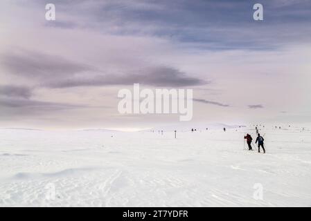 Gli appassionati di sci di fondo scivolano attraverso una distesa aperta del Parco Nazionale Pallas-Yllästunturi, nel nord della Finlandia. Foto Stock