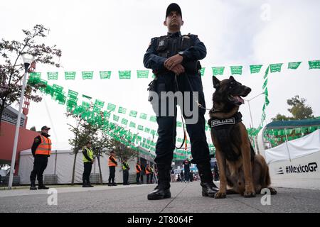 Oltre 4.300 agenti di polizia e pattuglia personale di sicurezza l'evento e 7 cani lavorano dalle 7:00 alle 17:00 ogni giorno, Mexican City Grand Prix, Messico, 28 ottobre 2023. Più di 400.000 persone hanno partecipato all'evento. 65 persone sono state escluse dall'evento a seguito di un alterco o di un comportamento inappropriato, ha confermato il Segretario di sicurezza di MayorÕs per la città. Crediti: Lexie Harrison-Cripps Foto Stock