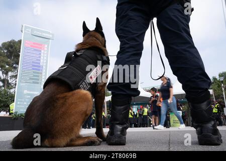 Oltre 4.300 agenti di polizia e pattuglia personale di sicurezza l'evento e 7 cani lavorano dalle 7:00 alle 17:00 ogni giorno, Mexican City Grand Prix, Messico, 28 ottobre 2023. Più di 400.000 persone hanno partecipato all'evento. 65 persone sono state escluse dall'evento a seguito di un alterco o di un comportamento inappropriato, ha confermato il Segretario di sicurezza di MayorÕs per la città. Crediti: Lexie Harrison-Cripps Foto Stock