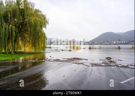 Un salice piangente si trova accanto a un parcheggio sul fiume Reno di fronte alla città di Bad Breisig in Germania. Il fiume si è rotto sulle rive del fiume Foto Stock