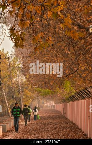 Srinagar, India. 17 novembre 2023. I residenti del Kashmir camminano lungo la strada durante una fredda giornata autunnale a Srinagar, la capitale estiva del Jammu e del Kashmir. (Foto di Saqib Majeed/SOPA Images/Sipa USA) credito: SIPA USA/Alamy Live News Foto Stock