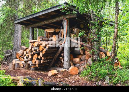 Un mucchio di tronchi sotto copertura in un negozio di legno su un sentiero escursionistico in Finlandia Foto Stock