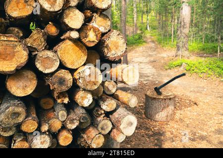 Un mucchio di tronchi e una grande ascia sono disponibili gratuitamente per gli escursionisti su un sentiero nel nord della Finlandia Foto Stock