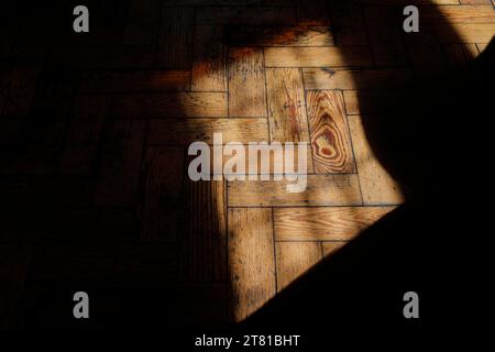 Ombra astratta fusa su pavimenti in parquet di pino. Foto Stock