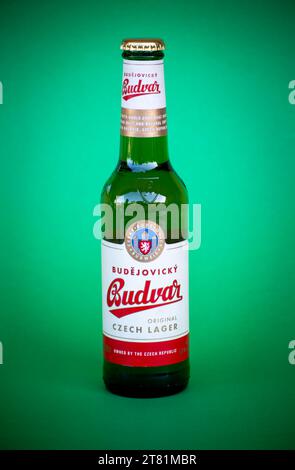 MALAGA, SPAGNA - 17 NOVEMBRE 2023: Bottiglia di birra Budweiser Budvar su sfondo verde a Malaga, Spagna, il 17 novembre 2023 Foto Stock