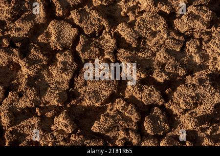 Cracking Desert Soil Top a Zion Foto Stock