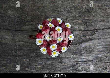 Composizione di lampone e camomilla in una tazza Foto Stock