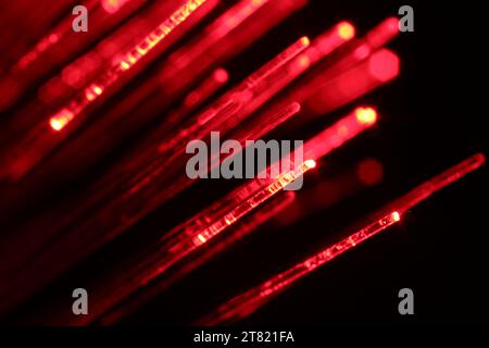 Trefoli in fibra ottica che trasmettono luce rossa su sfondo nero, vista macro Foto Stock