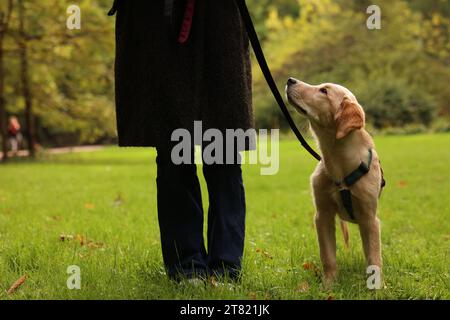 Donna con adorabile cucciolo Labrador Retriever all'aperto, primo piano Foto Stock