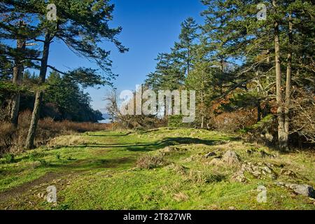 Brickyard Community Park BC Foto Stock