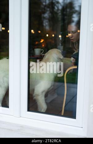 Cane Golden retriever che guarda attraverso la porta della finestra Foto Stock