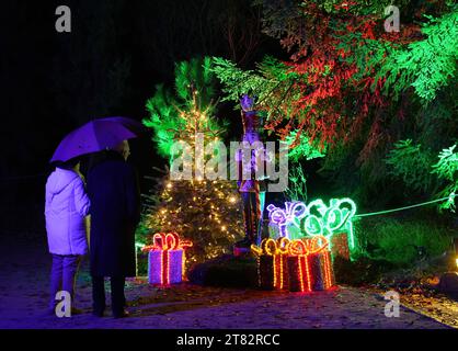 Berlino, 17 novembre. 14 gennaio 2024. I visitatori guardano le decorazioni luminose durante lo spettacolo di luci "Giardino di Natale di Berlino" al Giardino Botanico di Berlino, in Germania, 17 novembre 2023. Il "giardino di Natale di Berlino" è iniziato venerdì qui e durerà fino al 14 gennaio 2024. Crediti: Stefan Zeitz/Xinhua/Alamy Live News Foto Stock