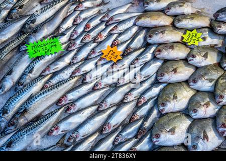 Aringhe fresche e altro pesce in vendita in un mercato Foto Stock