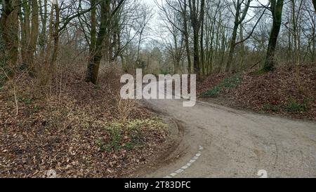 Waldpark im Herbst Foto Stock