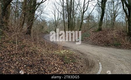 Waldpark im Herbst Foto Stock