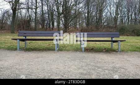 Waldpark im Herbst Foto Stock