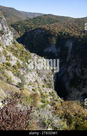 gole di montagna, natura, escursioni nella foresta in montagna Foto Stock