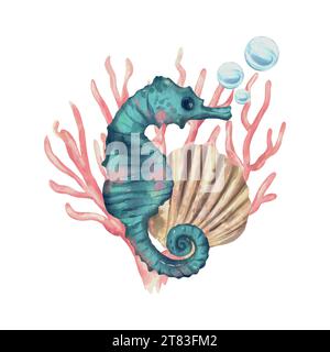 Seahorse, guscio, bolle. Illustrazione Vector Sea in stile acquerello. Biglietti d'auguri, inviti, copertine, volantini e banner a tema. Illustrazione Vettoriale