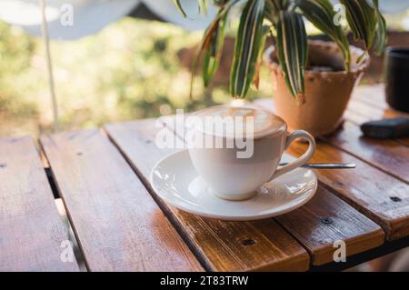 Latte caldo in tazza bianca su piattino su tavolo di legno e pianta decorata in caffetteria Foto Stock