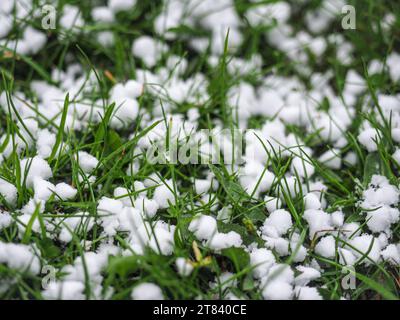 Palline bianche sull'erba. Snow Hail e Graupel a maggio. Primo piano. Kaunas, Lituania Foto Stock