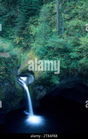 Cascate Punchbowl sul sentiero Eagle Creek, area panoramica nazionale della gola del fiume Columbia, Mt Hood National Forest, Oregon Foto Stock