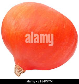 Zucca Hokkaido biologica fresca e isolata Foto Stock