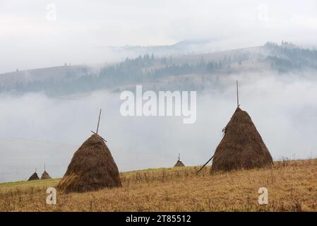 Pagliaio su un prato di montagna. In autunno la nebbia in montagna. Paesaggio rurale un giorno nuvoloso. Carpazi, Ucraina, Europa Foto Stock