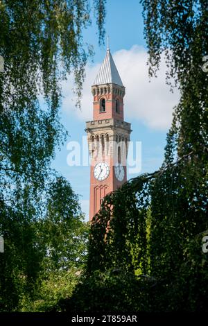 «Old Joe» The Joseph Chamberlain Memorial Clock Tower University of Birmingham, Regno Unito Foto Stock