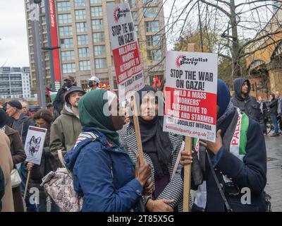 Lewisham, Londra, Regno Unito. 18 novembre 23. Diverse migliaia di persone alla manifestazione fuori dal Glass Mills Leisure Centre alla fine di una marcia in una delle tante proteste locali in tutto il Regno Unito in solidarietà con la Palestina che chiede un immediato cessate il fuoco e condanna i parlamentari, tra cui il deputato locale Vicky Foxcroft, che questa settimana ha votato contro un cessate il fuoco. C'era una certa incredulità quando la polizia arrestò una giovane donna per un cartello che aveva con sé. Peter Marshall/Alamy Live News Foto Stock