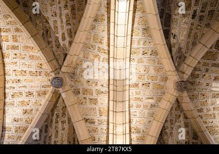 LEON, SPAGNA - 8 MARZO 2014: Interno dell'antica basilica romanica di San Isidro a Leon, Castiglia e Leon, Spagna Foto Stock