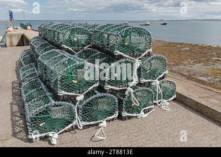 Nuovi vasi di aragosta verdi e bianchi impilati su un molo Foto Stock