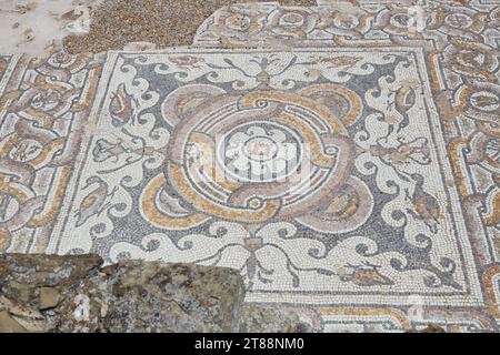 Le antiche rovine di Stobi nella Macedonia del Nord sono note per il suo mosaico ben conservato Foto Stock