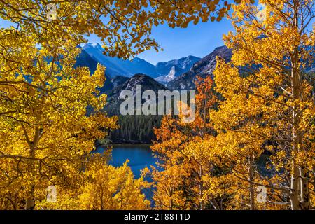 Una vignetta di alberi di asfalto colorati circondano Bear Lake e Longs Peak nel Rocky Mountain National Park, vicino a Estes Park, Colorado. Foto Stock