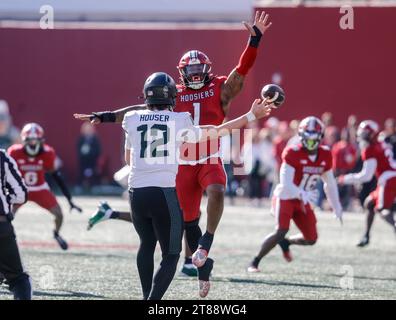 Bloomington, Stati Uniti. 18 novembre 2023. Andre Carter (1), defensive lineman degli Indiana Hoosiers, gioca contro il quarterback dei Michigan State Spartans Katin Houser (12) durante una partita di football NCAA a Bloomington. L'Indiana University ha perso contro lo stato del Michigan 24-21. Credito: SOPA Images Limited/Alamy Live News Foto Stock