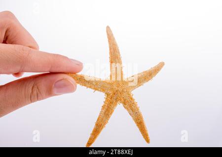 Mano che tiene una bella stella di colore arancione su sfondo bianco Foto Stock