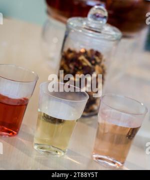 Tè alle erbe preparato in teiera di vetro e pianta del tè in bicchieri Foto Stock